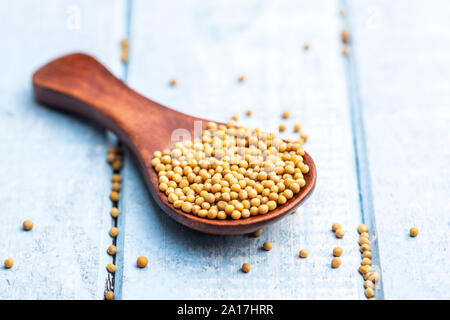 Gelbe Senfkörner in hölzernen Löffel am blauen Tisch. Stockfoto