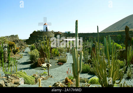 Kaktusgarten in Guatiza auf Lanzarote, eine der Kanarischen Inseln Stockfoto