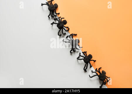 Halloween Dekorationen mit schwarzen Spinnen auf orange und grau hinterlegt. Flach, Ansicht von oben, kopieren. Stockfoto