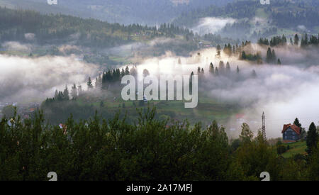 Ansicht von oben misty Kiefernwald bei Sonnenaufgang auf der Karpaten. Stockfoto