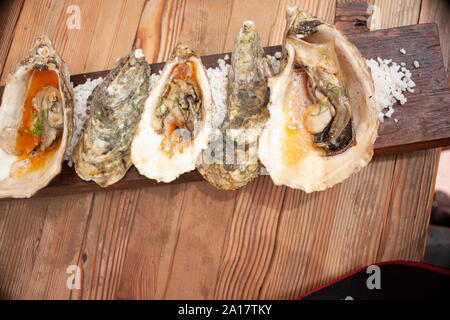 Gourmet essen Austern auf Salz auf Holzbrett aciculate Kultur Baja California Mexiko serviert. Stockfoto