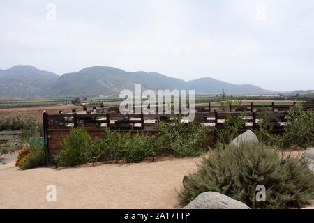 Ländliche Landschaft in den Bergen von Baja California Mexiko Umfeld, wo reichlich Pflanzen und großen Felsen koexistieren Stockfoto