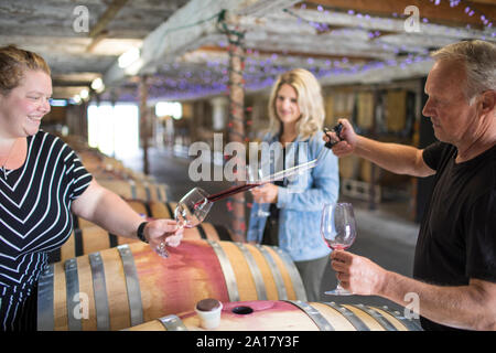 Winzer gießt Wein probe mit einer Pipette im Lagerhaus. Stockfoto