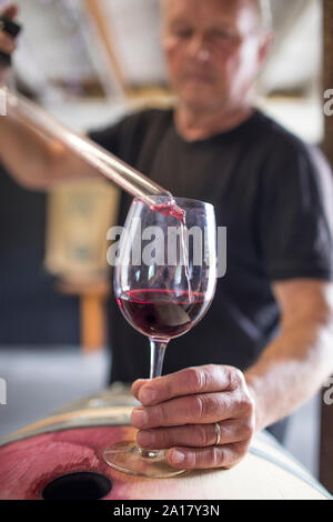 Sommelier gießt Wein in ein Glas von einem über ein pipettenkonus Stockfoto