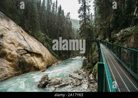 Metall catwalk entlang der rauschenden Wasser in der Johnston Canyon. Stockfoto