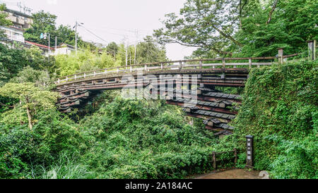 Saruhashi, Historische Holzbrücke in Otsuki, Yamanashi Präfektur, Japan Stockfoto