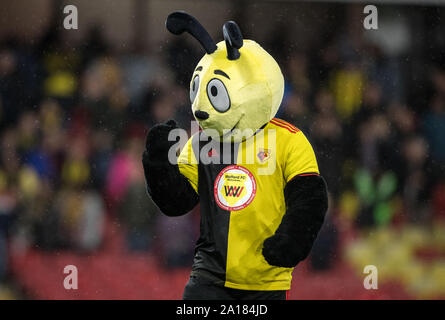 Watford, UK. 24 Sep, 2019. FC Watford Maskottchen Harry Hornissen während der carabao Pokalspiel zwischen dem Watford und Swansea City an der Vicarage Road, Watford, England am 24. September 2019. Foto von Andy Rowland. Credit: PRiME Media Images/Alamy leben Nachrichten Stockfoto