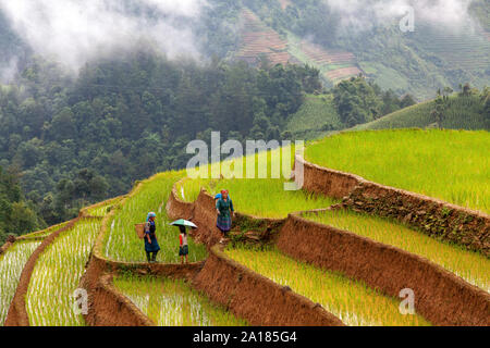 Schwarze Hmong Frauen und Mädchen in einem Reis Terrasse in Me Cang Chai, Yen Bai Provinz, im nordwestlichen Teil von Vietnam. Stockfoto