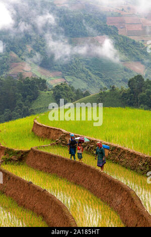 Schwarze Hmong Frauen und Mädchen in einem Reis Terrasse in Me Cang Chai, Yen Bai Provinz, im nordwestlichen Teil von Vietnam. Stockfoto