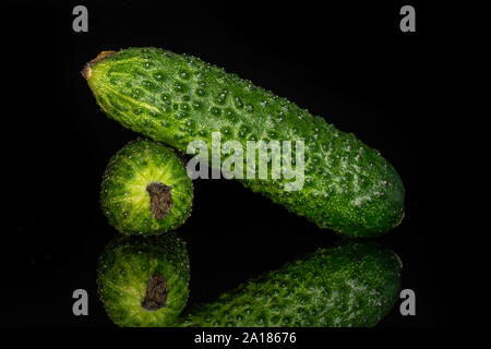 Gruppe von zwei ganze frische Beizen Gurke auf schwarz Glas isoliert Stockfoto