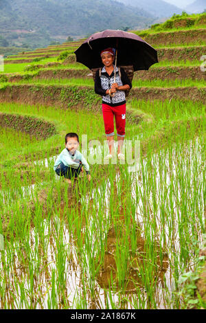 Mutter und Sohn, in einem Reisfeld. Mu Cang Chai, Yen Bai Provinz, im nordwestlichen Teil von Vietnam. Stockfoto