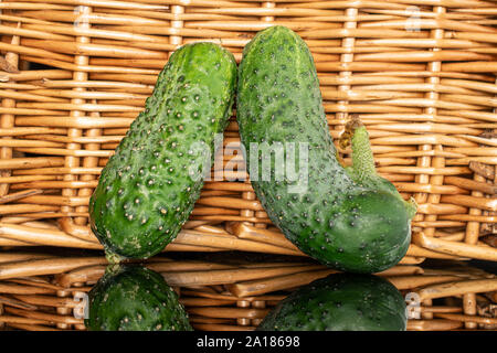 Gruppe von zwei ganze Siam frische Beizen Gurke mit geflochtenen Rattan hinter Stockfoto