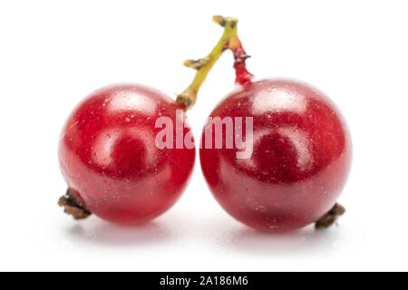 Group of two whole fresh dark redcurrant berries isolated on white background Stockfoto