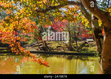 Herbst Blick von Kagami Ike (Spiegel Teich) mit Itsukushima Schrein unter ahorn rot Blätter in Nara Park Stockfoto