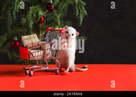 Frohes Neues Jahr 2020. Weihnachten Komposition mit einem echten Ratte, Symbol des Jahres. Eine Ratte in der Nähe eines Weihnachtsbaumes mit Spielzeug hält einen Trolley mit Geschenken nach Stockfoto