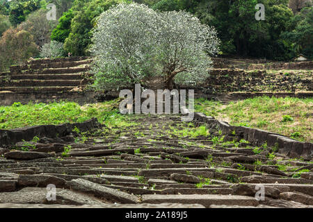 Treppe zur oberen Ebene des Wat Phu (Vat Phou), ein pre-Angkor Khmer Ruine, mit Hindi dann Buddhistische Tempel. UNESCO-Weltkulturerbe. Champasak, Lao PDR Stockfoto