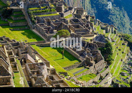 Machu Picchu Sonnenaufgang, Heiliges Tal der Inkas, Peru. Ein einsamer Tourist, der die Gärten und Terrassen, Machu Pichu Ruinen, am frühen Morgen bewundern kann. Stockfoto