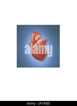 Vector 3d Realistische strahlende Gesundheit Herz Modell mit einem Impuls Line Closeup auf blau kariertem Wissenschaft gesäumt von medizinischen Hintergrund. Design Template des Menschen Stock Vektor