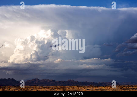 Cumulonimbus Wolke am Himmel von einem Gewitter in der Nähe von Lake Havasu City, Arizona, USA Stockfoto