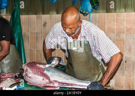 Male, Malediven - November 16, 2017: der Mann, der die großen Thunfischen für den Verkauf auf dem Fischmarkt in der Stadt von Male, die Hauptstadt der Malediven. Stockfoto