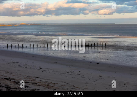 Grande Plage oder am Strand des berühmten Ferienortes Saint Malo in der Bretagne, Frankreich Stockfoto