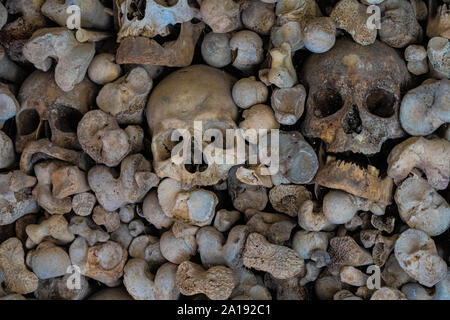 Knochen Wand Stockfoto