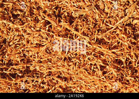 Eine Nahaufnahme von Tabak Stockfoto