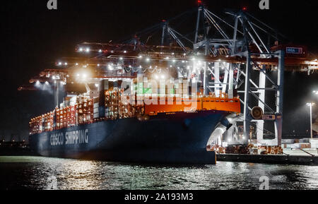 Deutschland. 28. Juli 2019. Die chinesische Containerfrachter COSCO Versand Leo ist am Container Terminal Steinwerder der Hamburger Hafen und Logistik AG (HHLA). Die China Ocean Shipping Company (COSCO) ist ein staatliches Unternehmen in der Volksrepublik China. Quelle: Markus Scholz/dpa/Alamy leben Nachrichten Stockfoto