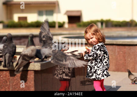 Süße kleine Mädchen füttern Tauben mit Brotkrumen im Sommer Park Stockfoto