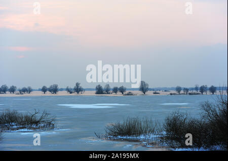 Winter im Nationalpark Warthemündung Stockfoto