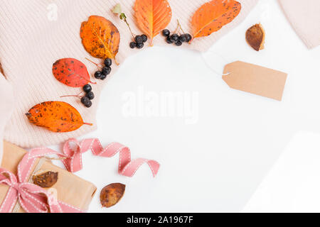 Woomen sanften Beige rosa Pullover, trockene Blätter im Herbst und Aronia Beeren auf einem weißen Hintergrund. Flach, Ansicht von oben Stockfoto