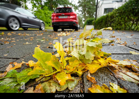 Nürnberg, Deutschland - 23. September 2019: Nass gelben Blätter im Herbst liegen auf dem Bürgersteig mit Autos parken und Fahren vor an einem regnerischen Herbst Stockfoto