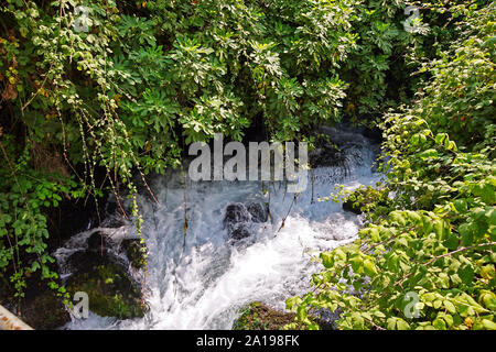 Hermon Stream Natur Reservat (Banias) Golanhöhen Israel dieser Stream ist eine der Quellen des Jordans Stockfoto