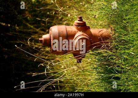 Amerikanische Wandhydranten im offenen Feld positioniert das benachbarte Menschen zu sichern. Stockfoto