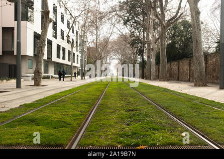 Rückfahrt von der Straßenbahn in der Nähe des Campus de la Ciutadella (Pompeo Fabra University) in Barcelona (Spanien). Straßenbahn ist nur kaum sichtbar, in der di Stockfoto