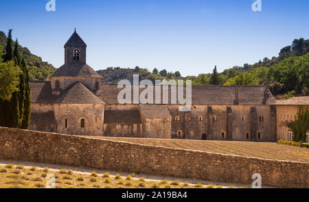 Der romanischen Zisterzienserabtei Abbaye Notre-Dame de Sénanque, Gordes, Provence, Frankreich, Europa Stockfoto