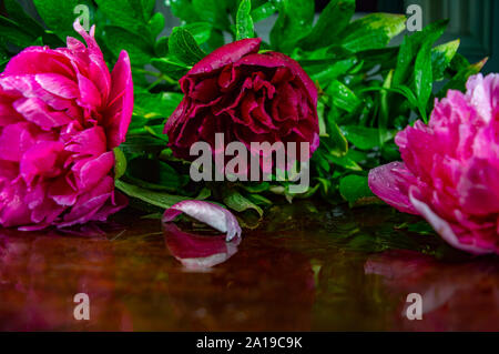 Blumen rosa und rot mit grünen Zweige auf einen Tisch. Stockfoto
