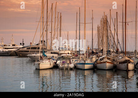 Yachthafen von Cannes, Cote d Azur, Provence-Alpes-Cote d'Azur, Frankreich, Europa Stockfoto