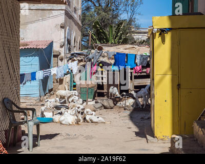 Goree, Senegal - Februar 2, 2019: das tägliche Leben auf der Insel Goree. Gorée. Dakar, Senegal. Afrika. Stockfoto