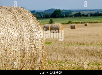Runde Strohballen auf einem Feld zwischen Chippenham, Wiltshire und Badewanne Stockfoto