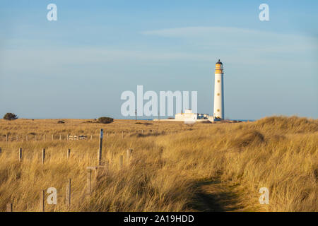 Scheunen Ness Leuchtturm in der Nähe von Dunbar Schottland. Stockfoto