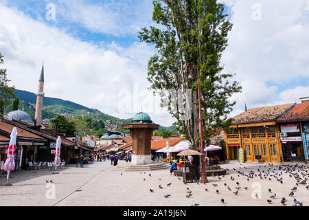 Sebilj, Taube Square, Bascarsija, Sarajevo, Bosnien und Herzegowina Stockfoto