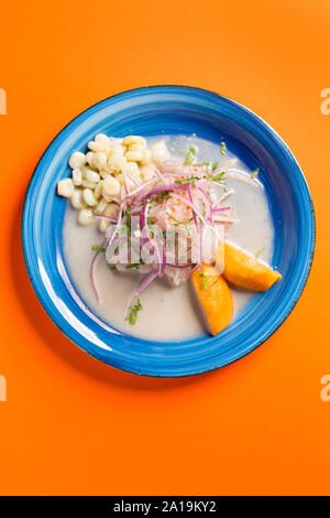 Meeresfrüchte Ceviche, typisches Gericht aus Peru Stockfoto