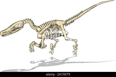 Dino skelet, Illustration, Vektor auf weißem Hintergrund. Stock Vektor