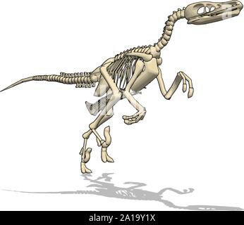 Dino skelet, Illustration, Vektor auf weißem Hintergrund. Stock Vektor