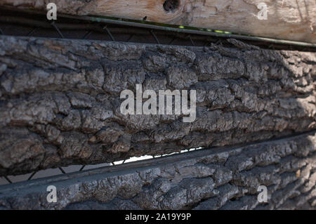 Textur alt. Echten alten Holz Textur vintage Hintergrund. Der dunkle Hintergrund. Antike Holz- Hintergrund. Holz Wand dunkel rot oder braun Farbe alte Textur. Mate Stockfoto