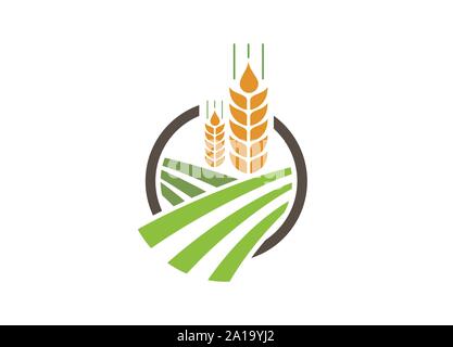 Landwirtschaft Weizen Logo Vorlage vektor Icon Design, Ohren von Weizen, Gerste oder Roggen Vektor visuelle grafische Symbole, Landwirtschaft Symbol. Stock Vektor