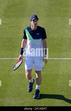 Andy Murray Großbritannien während der Match gegen Stan Wawrinka in der Schweiz. Natur Tal International 2018 - Montag, 25 Juni, 2018 - Devonshire Stockfoto