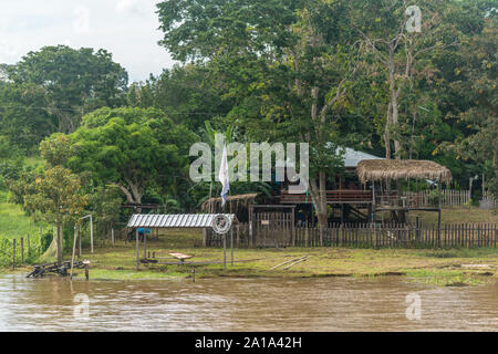 Obersations auf eine zweitägige Bootsfahrt von Manaus Tefé, Rio Solimoes, Amazonas, Amazonas, Brasilien, Lateinamerika Stockfoto