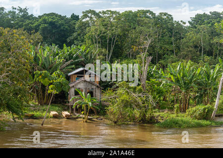 Obersations auf eine zweitägige Bootsfahrt von Manaus Tefé, Rio Solimoes, Amazonas, Amazonas, Brasilien, Lateinamerika Stockfoto